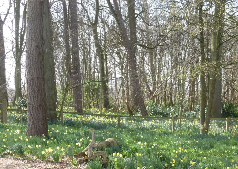 Cheshire Gardens Trust Visits, Walks and Talks