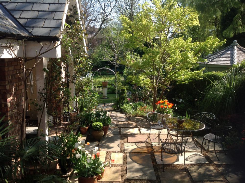 Summer BBQ and Fundraiser