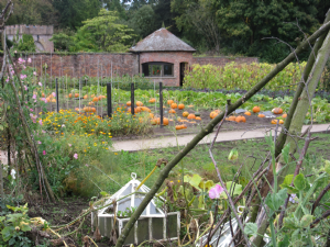 TATTON PARK 