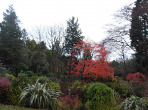 Denzell Gardens and The Devisdale