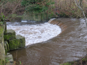 Brabyns Park