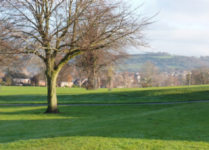 South Park, Macclesfield