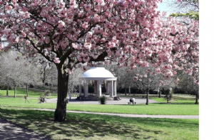 South Park, Macclesfield