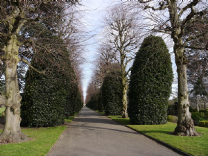 GROSVENOR PARK