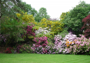 PEOVER HALL 