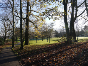 Halecroft Park