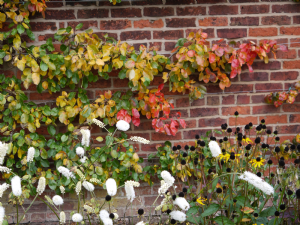 Grappenhall Heys Walled Garden