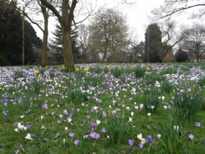 WEST PARK, Macclesfield