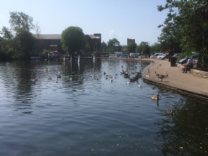 Etherow Country Park