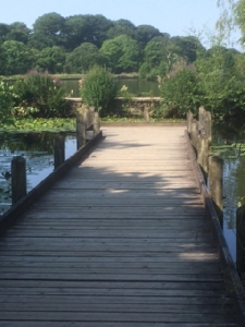 Etherow Country Park