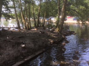 Etherow Country Park