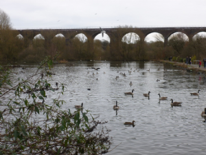 Reddish Vale Country Park