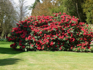 ADLINGTON HALL