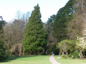 Bruntwood Park