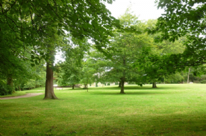 LYME PARK