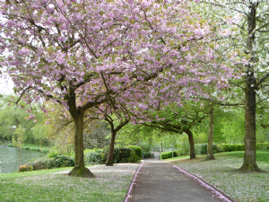 Alexandra Park (Edgeley House)