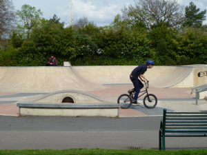 Alexandra Park (Edgeley House)