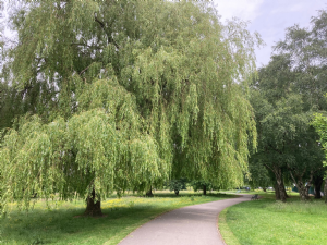 Adswood Park (Adswood Recreation Ground 1913)