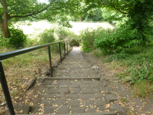 Heaton Mersey Park