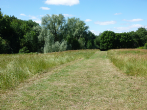 Heaton Mersey Common