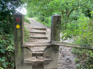 Happy Valley (Ladybrook Valley)