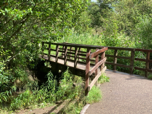 Happy Valley (Ladybrook Valley)