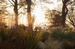 NESS BOTANIC GARDENS 