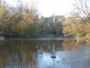 Bramhall Park (Bramall Hall)
