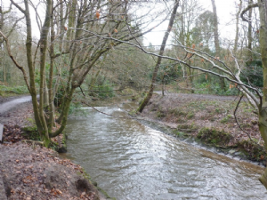 Bramhall Park (Bramall Hall)