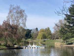 QUEENS PARK Crewe