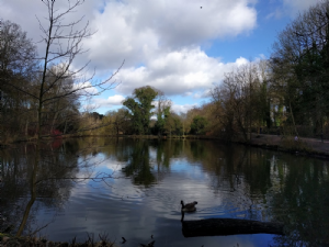 Abney Hall Park