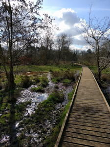 Abney Hall Park