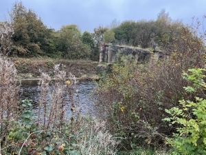 Mersey Vale Nature Park