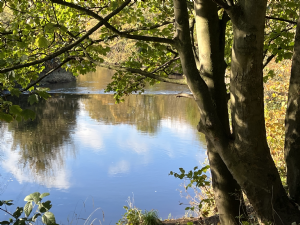 Mersey Vale Nature Park