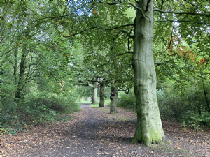 WHITBY PARK