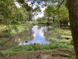 WHITBY PARK