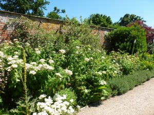 COMBERMERE ABBEY 