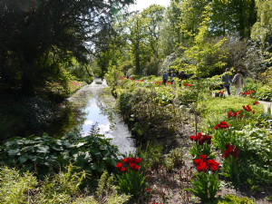 DUNHAM MASSEY 