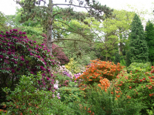 PEOVER HALL 