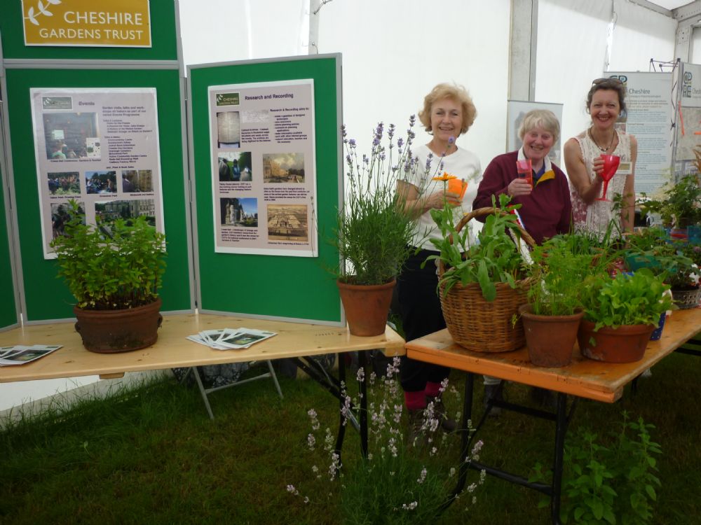 Grow your own tea party