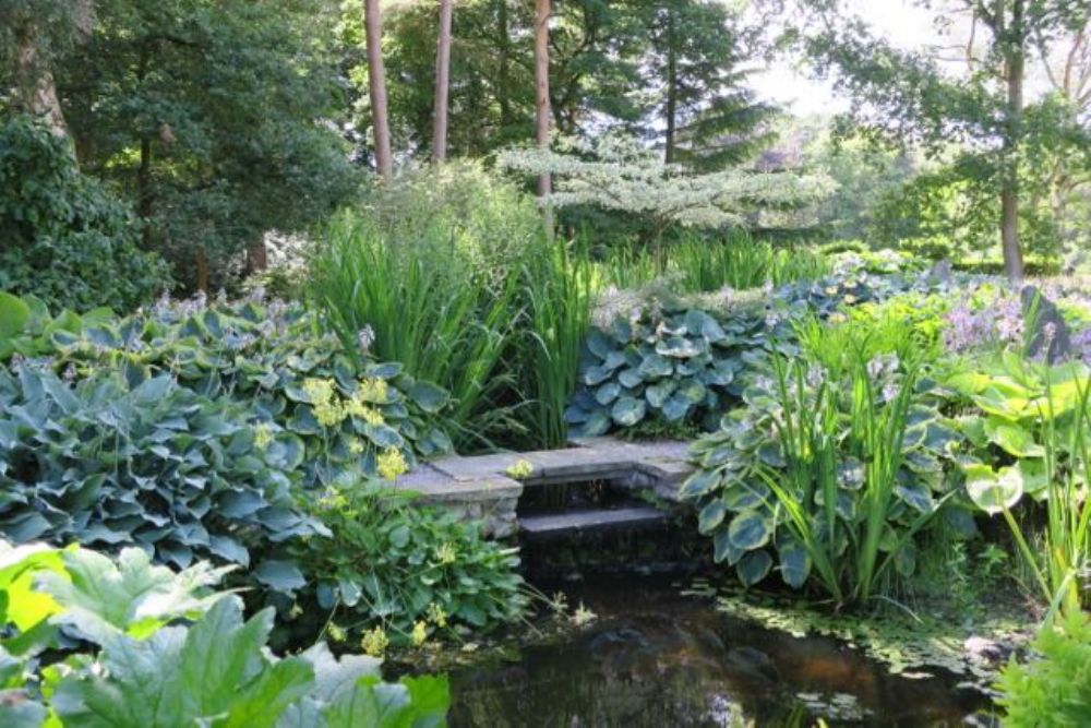 Sandymere Gardens visit July 2016