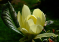 New CGT Spring Events now Published